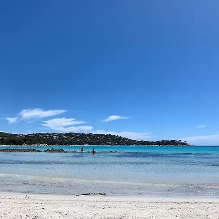 Individuelle Avec Piscine Privee Et Grand Jardin Proche Santa Giulia * Πόρτο Βέκιο
